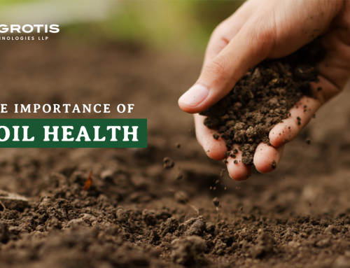 The Importance of soil health in Agriculture